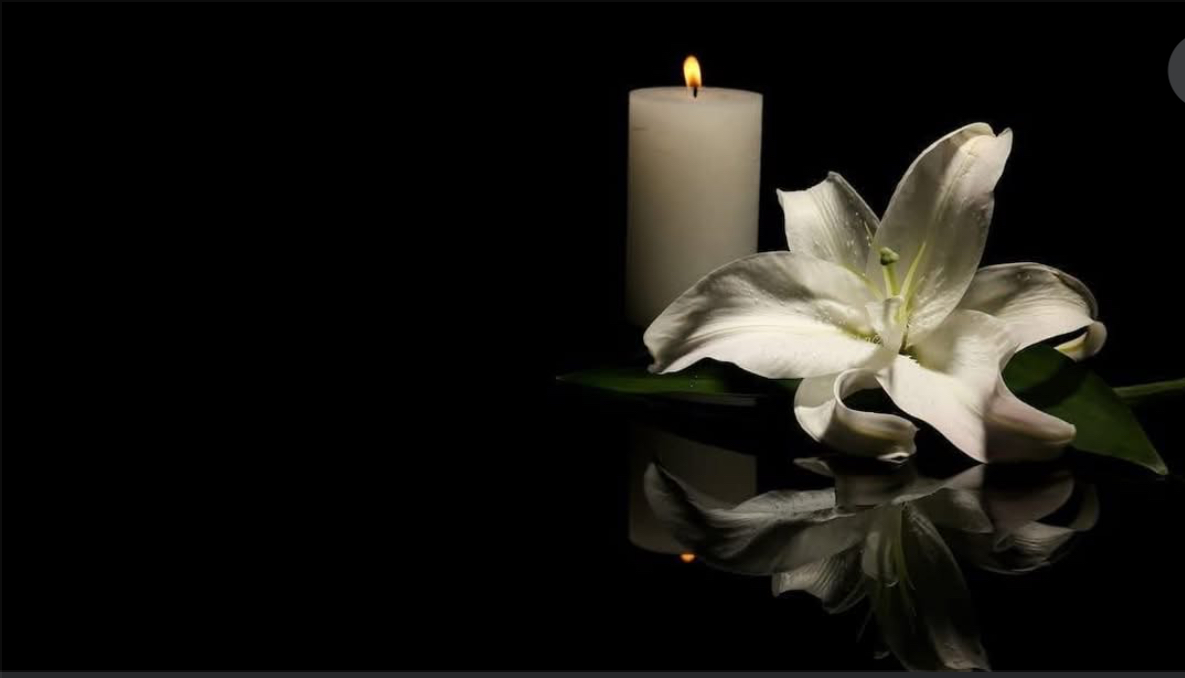 In Loving Memory of David Evans